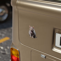 Sticker — “Allergic to Mornings” Transparent Outdoor Square